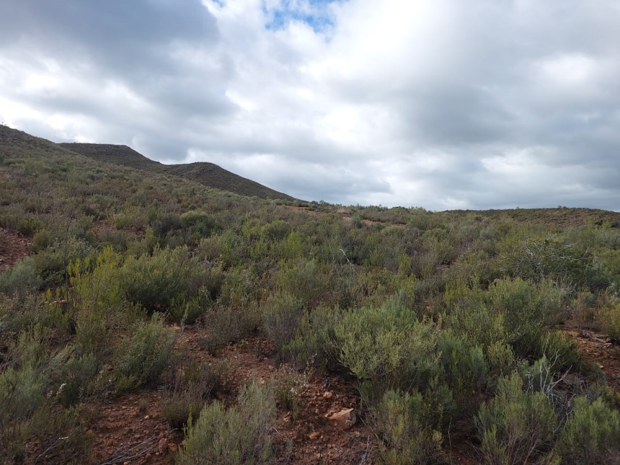 7 Bedroom Property for Sale in Ladismith Rural Western Cape